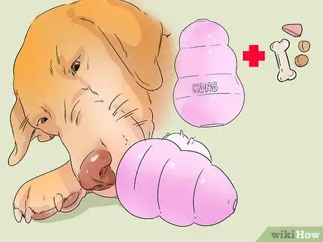 Image titled Identify and Correct Unwanted Dog Behaviors Step 18