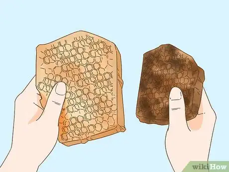 Image titled Make Bees Wax Step 3