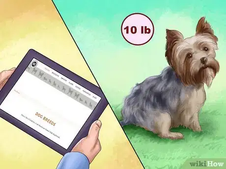 Image titled Buy a Puppy Crate Step 3