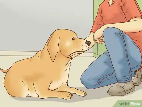 Image titled Find and Choose a Dog Trainer Step 11