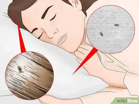 Image titled Clean After Lice Step 11