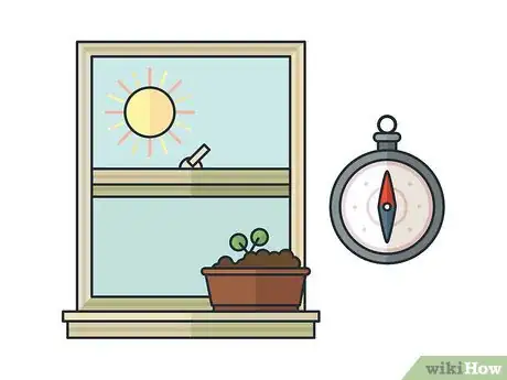 Image titled Grow Mint Indoors Step 9