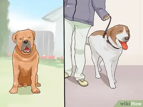 Image titled Have a Successful First Day with a New Dog Step 8
