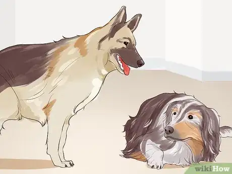 Image titled Get a Companion Dog for an Existing Dog Step 2