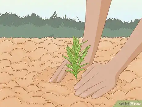 Image titled Grow an Herb Garden Step 11