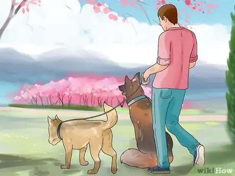 Image titled Walk Two Dogs Step 13