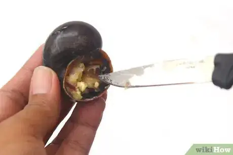 Image titled Prepare Escargot Step 12