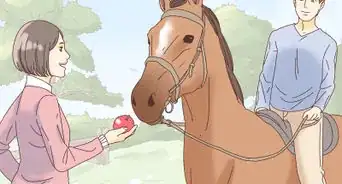 Feed a Horse Treats