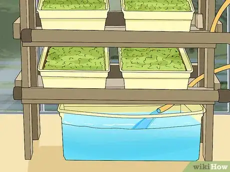 Image titled Design a Successful Indoor Garden Step 13