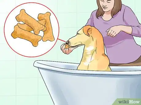 Image titled Groom a Short Haired Dog Step 5