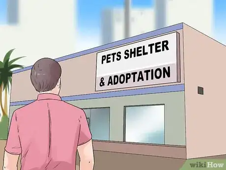 Image titled Choose an Active Dog Step 19