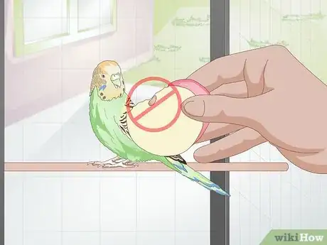 Image titled Avoid Poisoning Your Pet Bird Step 4