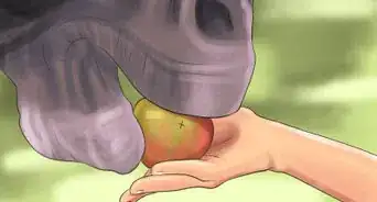 Ride a Horse For the First Time (Kids)