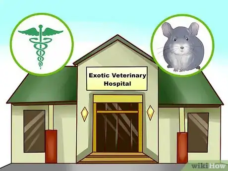 Image titled Know if a Chinchilla Is Right for You Step 8