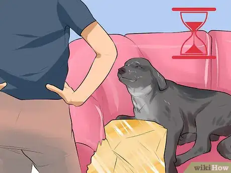 Image titled Care for a Recently Rehomed Dog Step 13