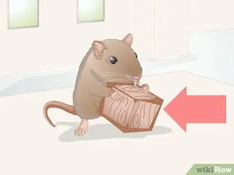 Image titled Groom a Gerbil Step 8