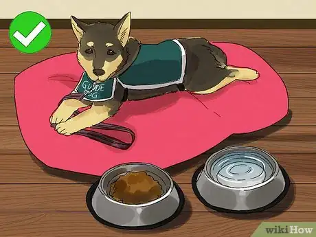 Image titled Get a Service Dog for Your Blind or Visually Impaired Child Step 10