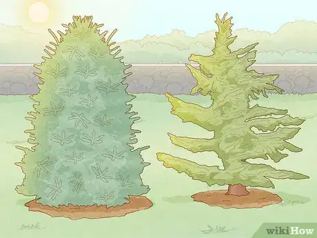 Image titled Start a Tree Farm Step 3