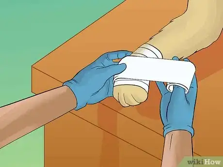 Image titled Wrap a Dog Paw Step 7