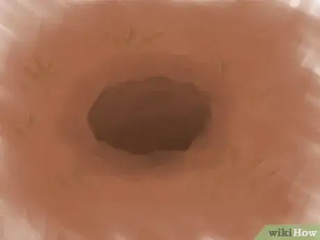 Image titled Grow Sweet Potatoes Step 15