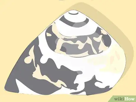 Image titled Clean Mother of Pearl (Nacre) Step 5