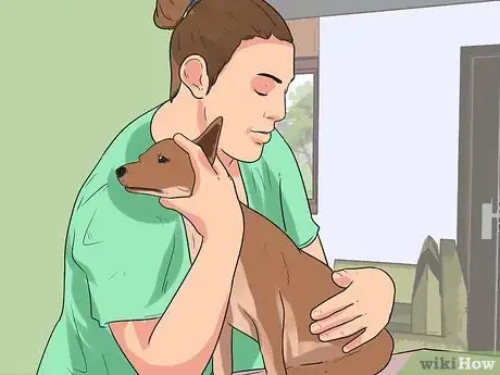 Image titled Clean a Terrier's Ears Step 4