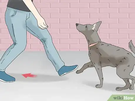 Image titled Walk a Dog on a Leash Step 9