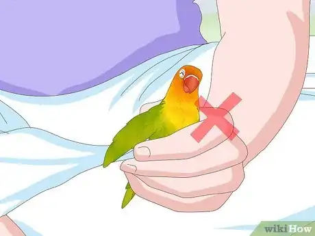 Image titled Treat Chlamydiosis in Lovebirds Step 8