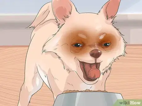 Image titled Prevent Canine Periodontal Disease Step 9