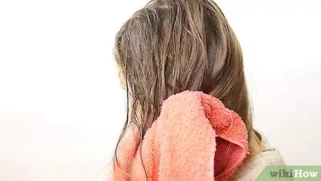 Image titled Do a Beehive Braid Step 2