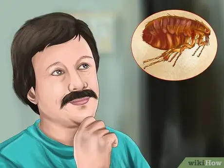 Image titled Identify Canine Flea Problems Step 7