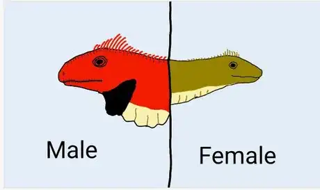 Image titled centerLicense: Creative Commons