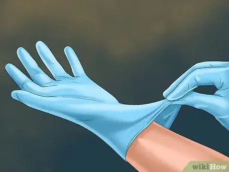 Image titled Avoid Getting Bitten by a Black Widow Step 2