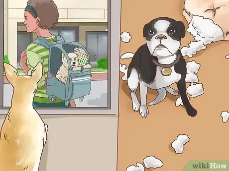 Image titled Know if Your Older Dog Suffers from Separation Anxiety Step 9