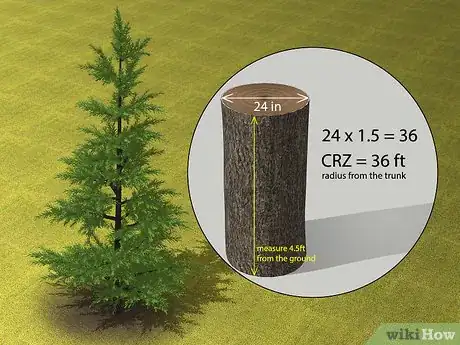 Image titled Protect Trees During Construction Step 2