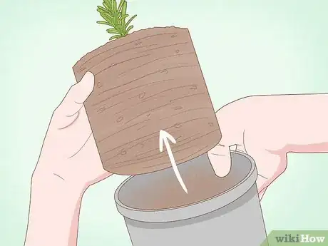 Image titled Grow an Herb Garden Step 10