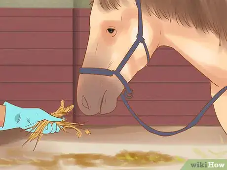 Image titled Ride a Horse in the Winter Step 19