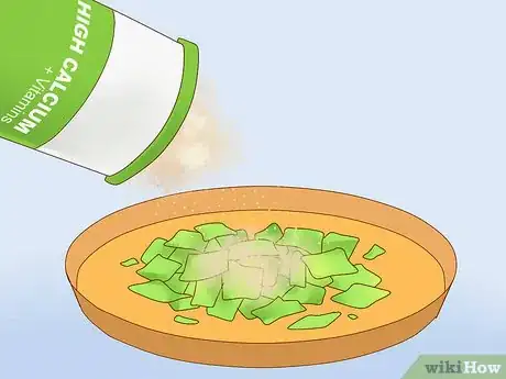 Image titled Feed a Lizard Step 16