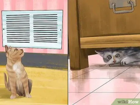 Image titled Prevent Heatstroke in Cats Step 6