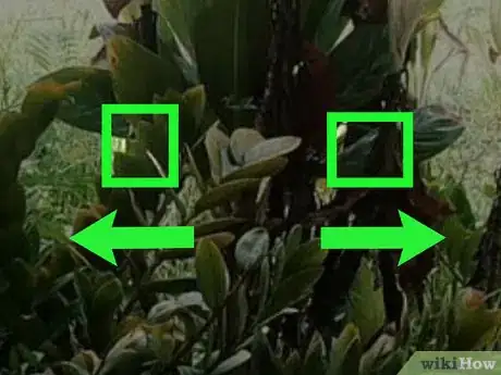 Image titled Zoom on Google Photos on iPhone or iPad Step 4