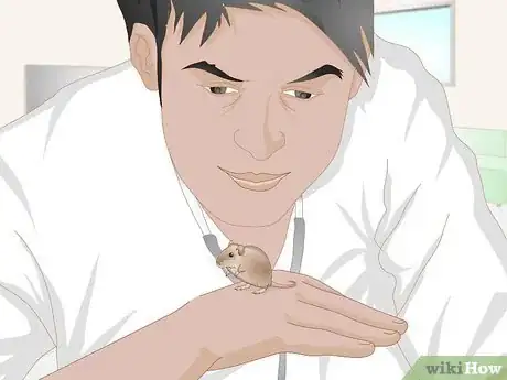 Image titled Groom a Gerbil Step 7