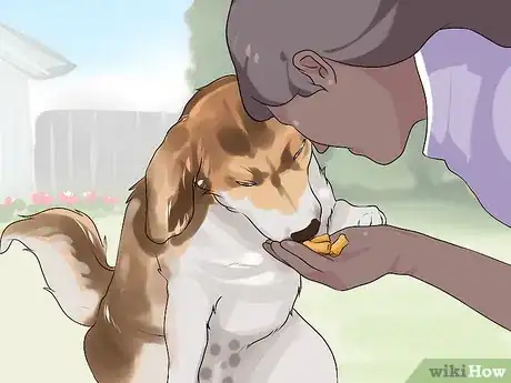 Image titled Bond with a Needy Dog Step 8