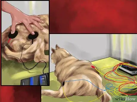 Image titled Treat a Cat with Acupuncture Step 13