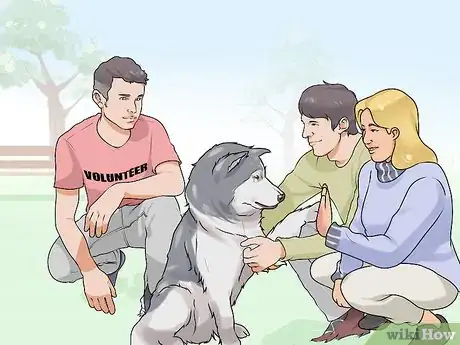 Image titled Choose a Dog Together As a Married Couple Step 7