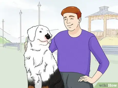 Image titled Identify a Bernese Mountain Dog Step 11