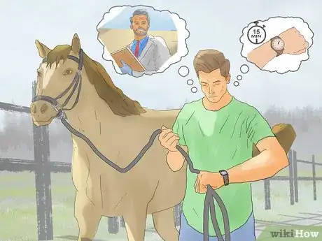 Image titled Hand Walk an Injured Horse Step 14