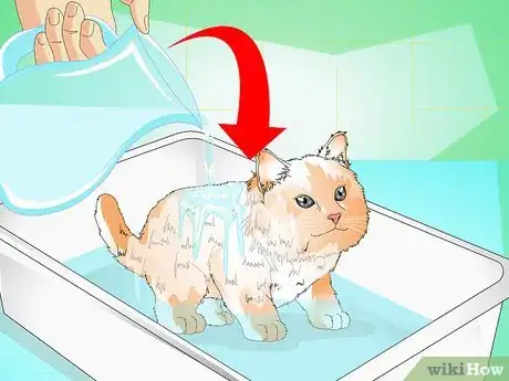 Image titled Give a Kitten a Bath Step 9