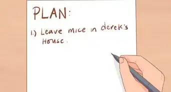 Know if a Pet Mouse Is Right for You