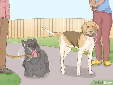 Image titled Prevent Dog Fights Step 23