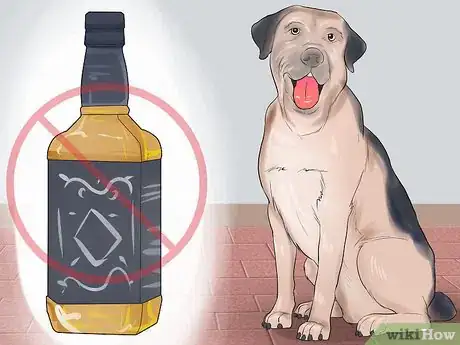 Image titled Avoid Foods Dangerous for Your Dog Step 1